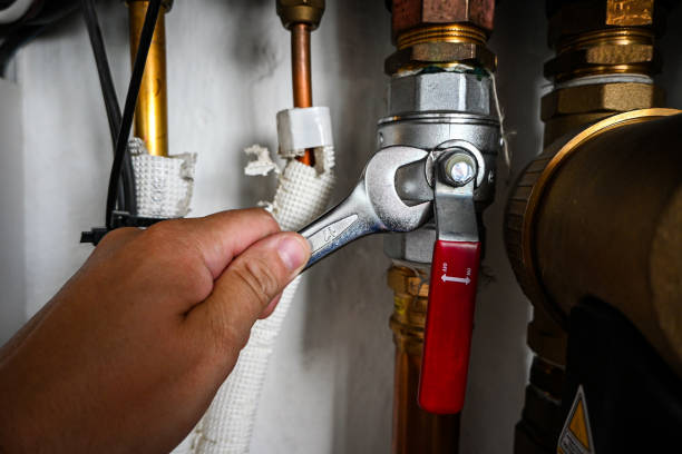 Best Local Plumber Services  in Agoura Hills, CA